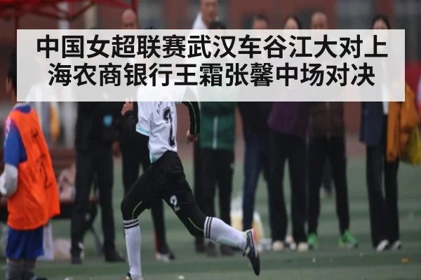 中国女超联赛武汉车谷江大对上海农商银行王霜张馨中场对决